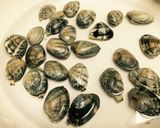 簡単で贅沢なクラムチャウダー！作り方1写真