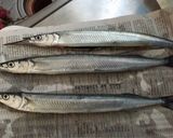 魚の天日干し作り方3写真