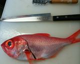 金目鯛のにぎり作り方1写真