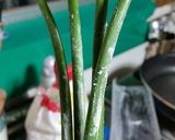 受験生応援！君の芽が出て必ず勝つトースト作り方5写真