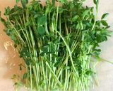 簡単！5分で一品☺豆苗とトマト炒め作り方1写真