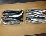 自家製アンチョビ作り方1写真