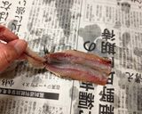 自家製アンチョビ作り方3写真