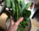 本格的マウルタッシェン (ドイツ風餃子)作り方3写真