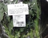 【新野菜】アレッタのチキンソテー作り方1写真
