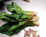 ほうれん草の保存作り方3写真