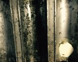 お弁当にも！ホットロール サンド作り方8写真