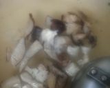 コーンとたまごの中華スープ♪作り方7写真