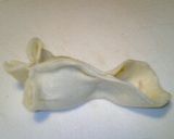 見た目重視？！金魚餃子ｗ作り方8写真