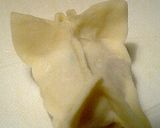見た目重視？！金魚餃子ｗ作り方15写真