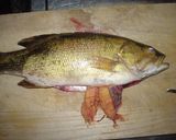 自分で釣った バス の調理法作り方2写真