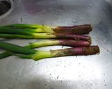 赤ねぎとマグロのぬた作り方1写真