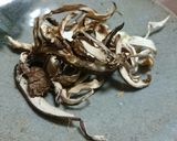ヒラタケ（平茸）の処理と乾燥保存作り方10写真