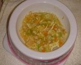 ワンちゃんの野菜とむね肉のリゾット風作り方7写真