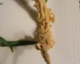 ちょうちん干し（切り干し大根）作り方4写真