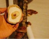 【十勝一年生】椎茸の網焼き作り方1写真