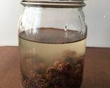 少量でパワフルな☆レーズン酵母起こし作り方2写真
