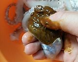 母の味♡〜イカの塩辛〜作り方12写真