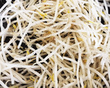 麺つゆで簡単！もやしの炒り豆腐作り方1写真