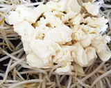 麺つゆで簡単！もやしの炒り豆腐作り方2写真