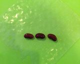 お豆の生春巻き作り方13写真