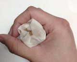 ヘルシー鶏肉焼売作り方12写真