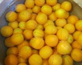 きんかんの甘煮♪作り方2写真