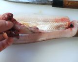 穴子のおろし方からの煮方作り方9写真