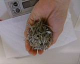大豆とじゃこと根菜のかき揚げ作り方10写真