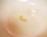 妊婦必見！体重管理の野菜スープ作り方2写真