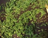 ほうれん草ペーストのパスタ作り方4写真