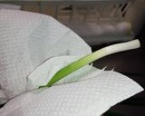 青ねぎの保存　我が家の場合作り方2写真