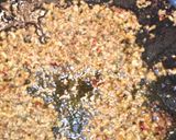 ずぼら豚ひき肉丼作り方3写真