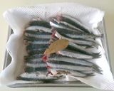 自家製オイルサーディン作り方1写真