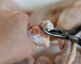 カラッと塩味の鶏唐揚げ　作り方11写真