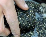 黒ゴマ大福作り方8写真