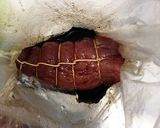 簡単☆あっさり焼豚作り方3写真