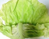 爪楊枝不要/ロールキャベツの巻き方作り方5写真
