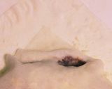 簡単！残りカレーリメイク！カレー春巻き作り方7写真