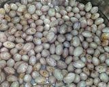 虎豆で煮豆(圧力鍋使用)作り方1写真