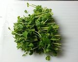 ご当地ラーサラ風野菜たっぷり冷チュウ作り方4写真