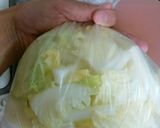 ピリ辛コク旨！白菜もりもりサラダ♪作り方2写真