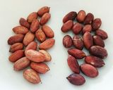 レンジで簡単！ローストピーナッツ作り方4写真