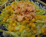 マルちゃん正麺 冷し中華 でサラダ麺作り方6写真