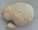 *ラクダパン*作り方1写真
