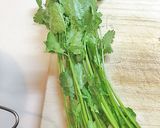 鶏胸肉とパクチーのサラダ作り方4写真