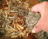 簡単！コツで失敗無し＊いかなごのくぎ煮作り方8写真