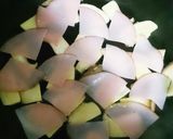 エリンギともやし入りハムエッグ作り方1写真