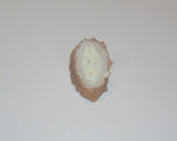 ちくわとチーズと柚子こしょう作り方4写真