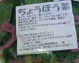 ちょうほう菜塩レモンポーク炒め作り方1写真